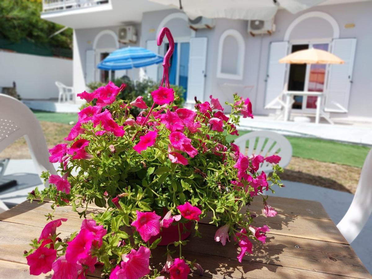 Leta Apartments Agios Georgios  Exterior photo
